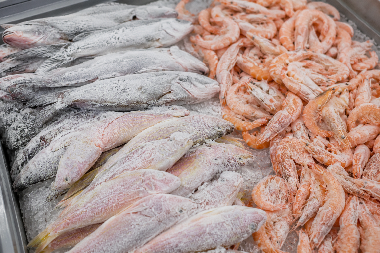 Seafood